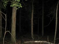 Chicago Ghost Hunters Group investigates Robinson Woods (135).JPG